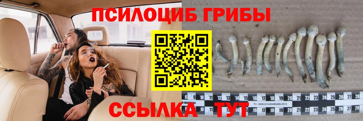 Галлюциногенные грибы Cubensis Туймазы