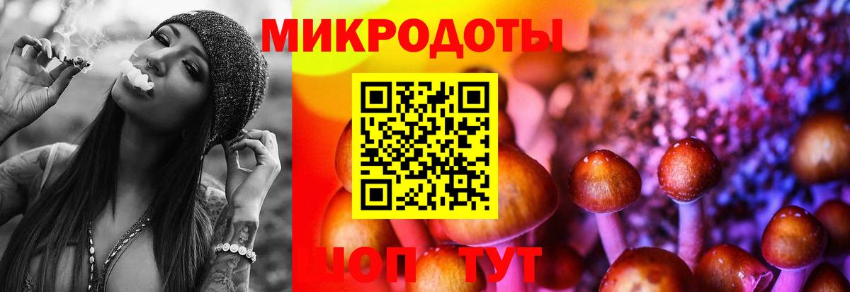 как найти   Вход с VPN  Туймазы  Псилоцибиновые грибы Psilocybine cubensis  Псилоцибиновые грибы Psilocybine cubensis 